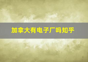 加拿大有电子厂吗知乎