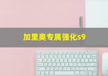 加里奥专属强化s9