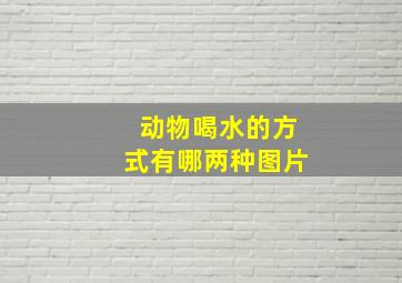 动物喝水的方式有哪两种图片