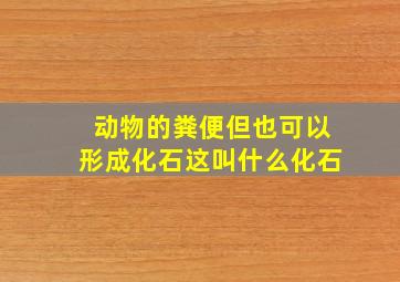 动物的粪便但也可以形成化石这叫什么化石