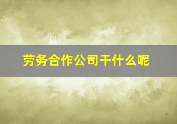 劳务合作公司干什么呢