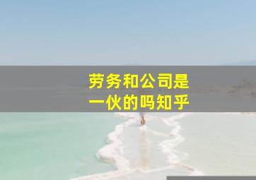 劳务和公司是一伙的吗知乎