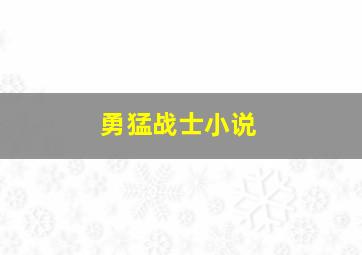 勇猛战士小说