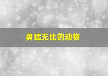 勇猛无比的动物