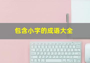 包含小字的成语大全