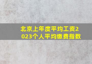 北京上年度平均工资2023个人平均缴费指数