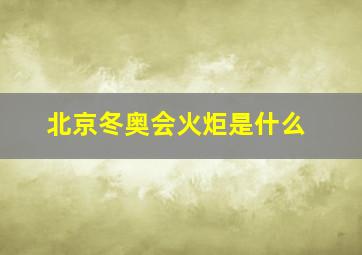 北京冬奥会火炬是什么