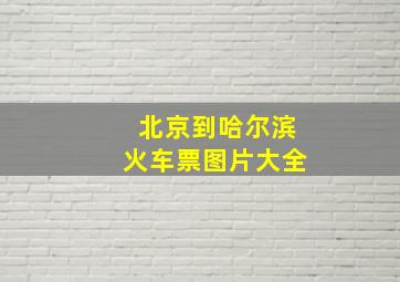 北京到哈尔滨火车票图片大全