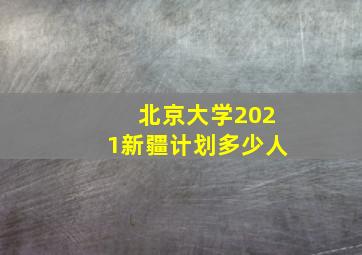 北京大学2021新疆计划多少人