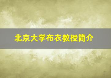 北京大学布衣教授简介