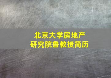 北京大学房地产研究院鲁教授简历