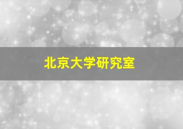 北京大学研究室