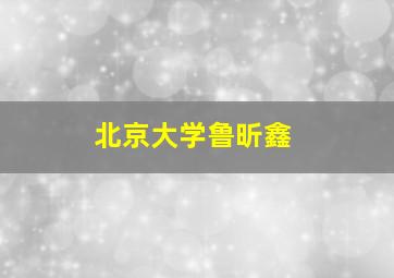 北京大学鲁昕鑫