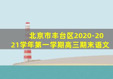 北京市丰台区2020-2021学年第一学期高三期末语文