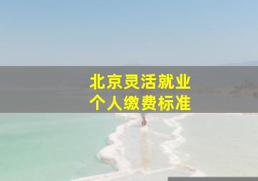 北京灵活就业个人缴费标准