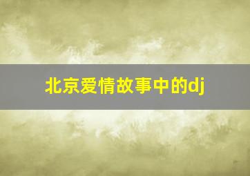 北京爱情故事中的dj