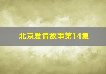 北京爱情故事第14集