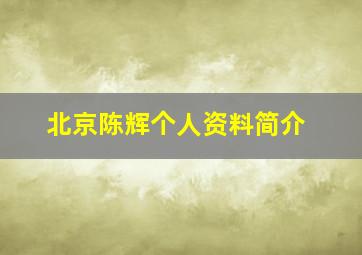 北京陈辉个人资料简介