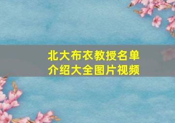 北大布衣教授名单介绍大全图片视频