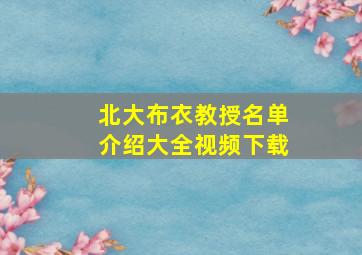 北大布衣教授名单介绍大全视频下载