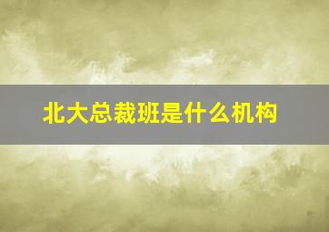 北大总裁班是什么机构