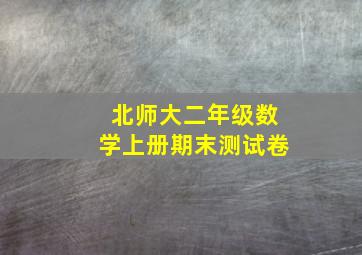 北师大二年级数学上册期末测试卷