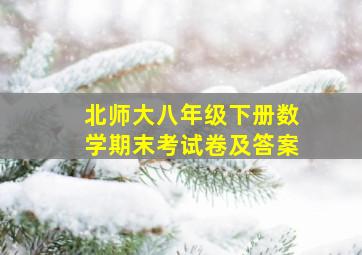 北师大八年级下册数学期末考试卷及答案