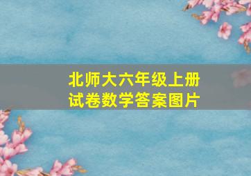 北师大六年级上册试卷数学答案图片