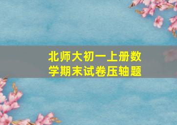 北师大初一上册数学期末试卷压轴题