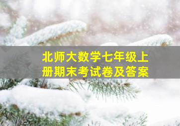 北师大数学七年级上册期末考试卷及答案