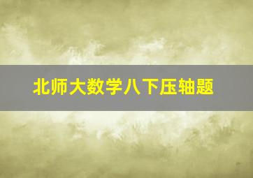 北师大数学八下压轴题