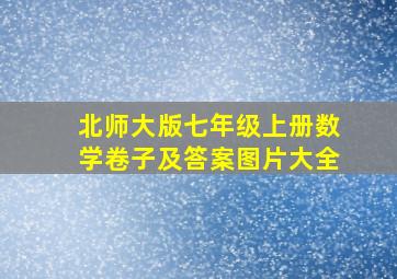 北师大版七年级上册数学卷子及答案图片大全