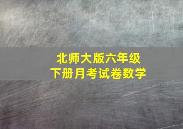 北师大版六年级下册月考试卷数学