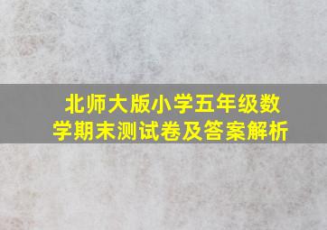 北师大版小学五年级数学期末测试卷及答案解析