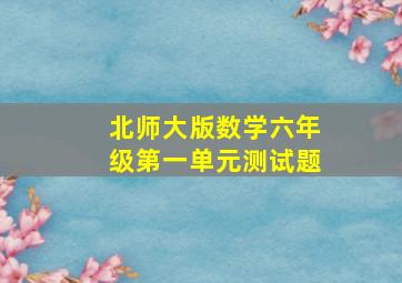 北师大版数学六年级第一单元测试题