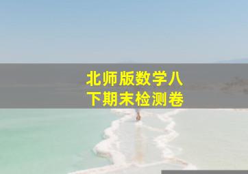 北师版数学八下期末检测卷