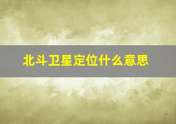 北斗卫星定位什么意思