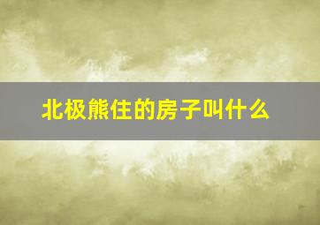 北极熊住的房子叫什么