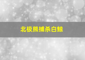 北极熊捕杀白鲸