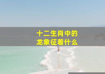 十二生肖中的龙象征着什么