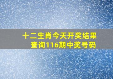 十二生肖今天开奖结果查询116期中奖号码