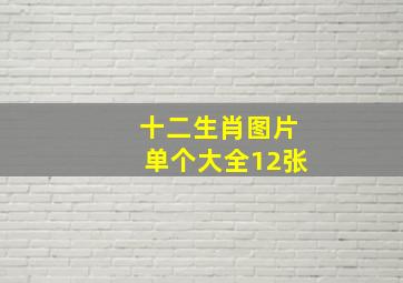 十二生肖图片单个大全12张