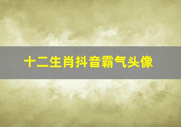 十二生肖抖音霸气头像