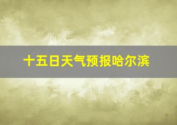 十五日天气预报哈尔滨