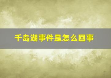 千岛湖事件是怎么回事