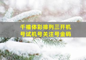 千禧体彩排列三开机号试机号关注号金码