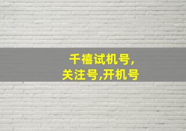 千禧试机号,关注号,开机号