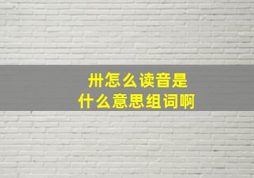 卅怎么读音是什么意思组词啊