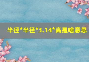 半径*半径*3.14*高是啥意思