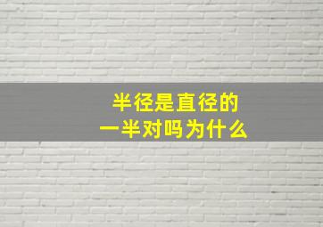 半径是直径的一半对吗为什么